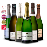 Pack 6 Champagne de Vignerons