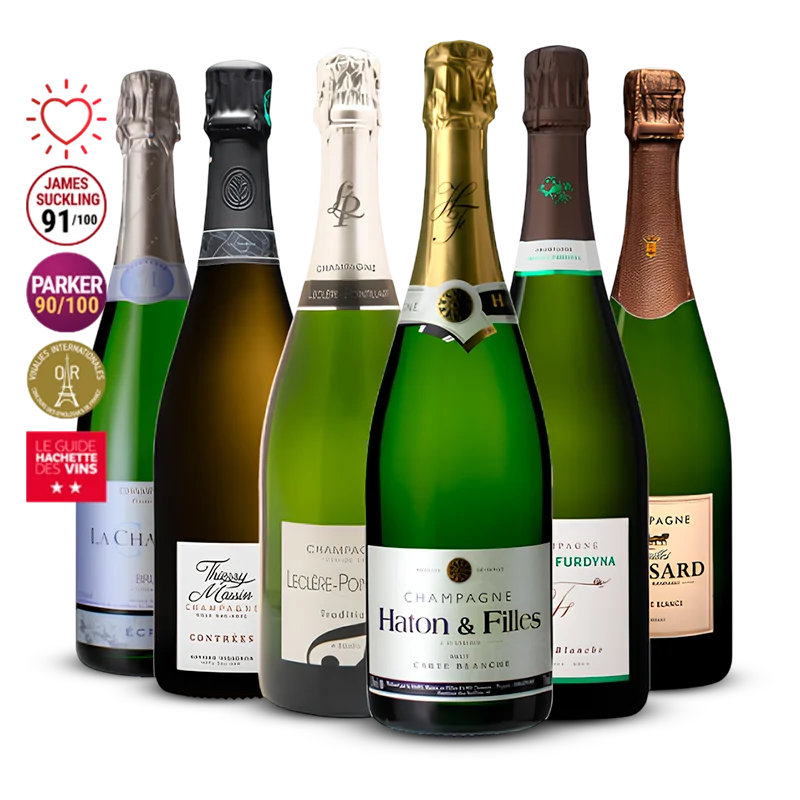 Pack 6 Champagne de Vignerons